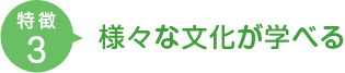 特徴3　様々な文化が学べる